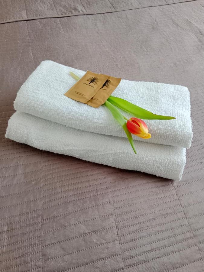 Apartament Glamour Chełm Kültér fotó